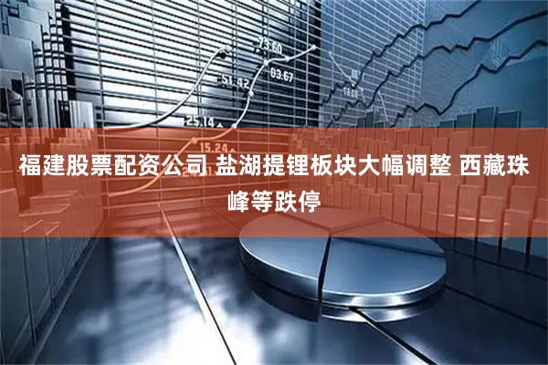 福建股票配资公司 盐湖提锂板块大幅调整 西藏珠峰等跌停