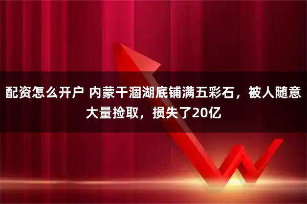 配资怎么开户 内蒙干涸湖底铺满五彩石，被人随意大量捡取，损失了20亿