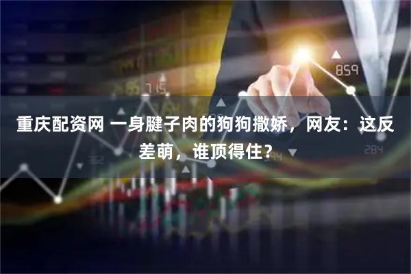 重庆配资网 一身腱子肉的狗狗撒娇，网友：这反差萌，谁顶得住？